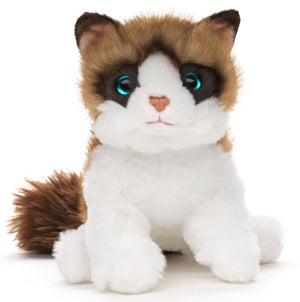 Chat Ragdoll - 30 cm (longueur) - peluche
