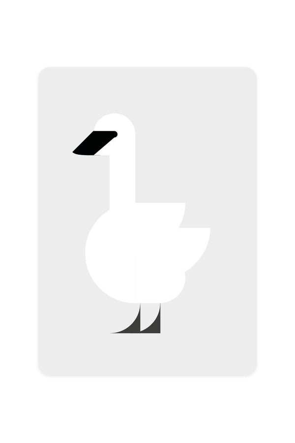 Carte postale Cygne trompette