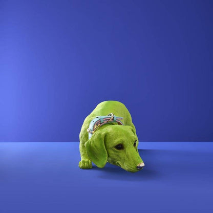 Dachshund Dog Wilfried M. Collar, Green Poly Resin