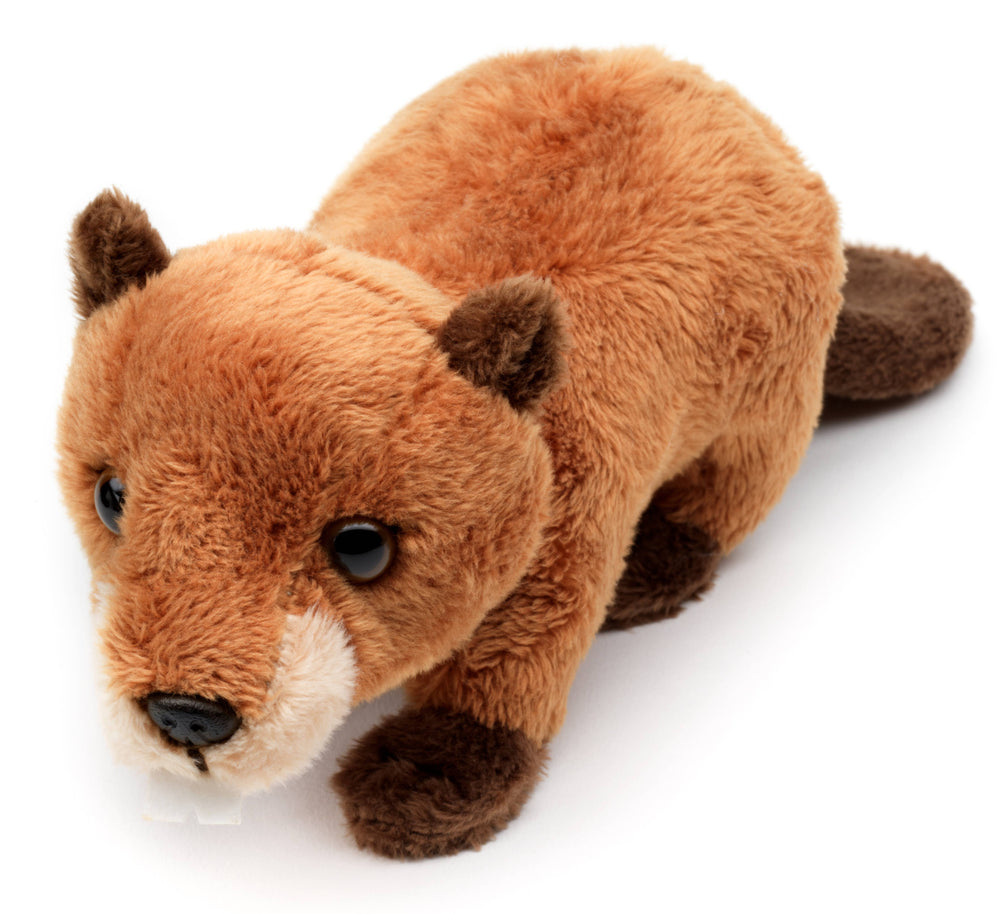 Peluche de Castor