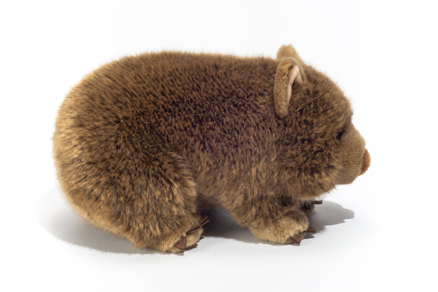Peluche Wombat