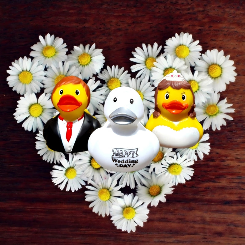 Canard "HAPPY Wedding DAY" - Dutch Ducky - vue 3