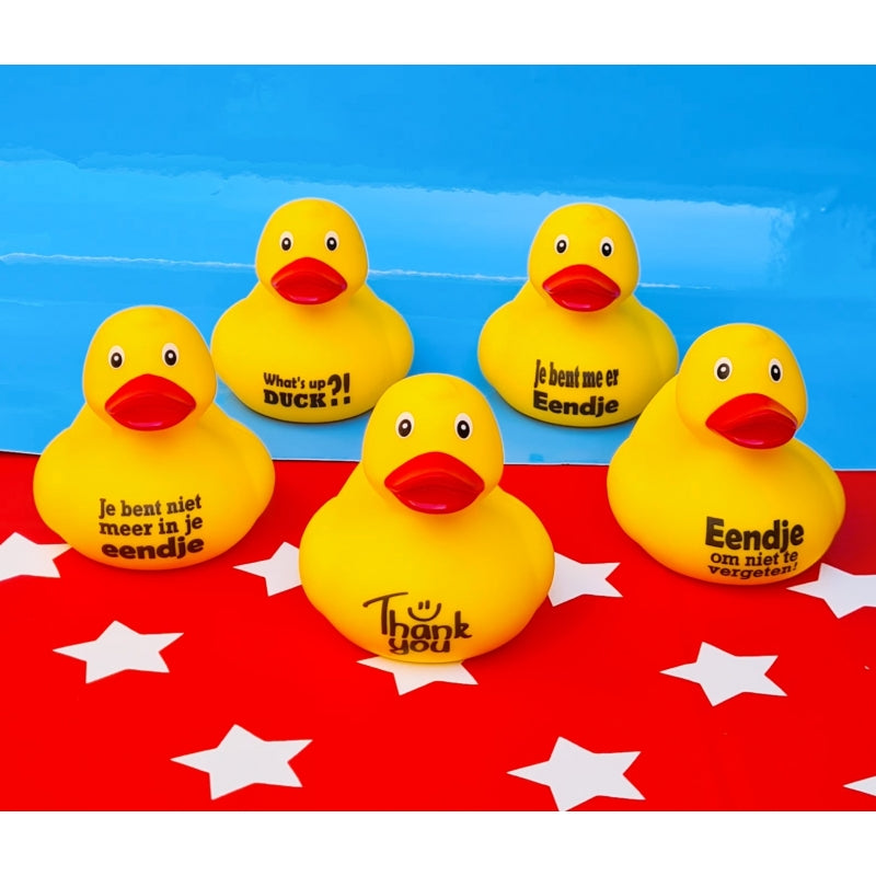 Canard "What's up DUCK ?"