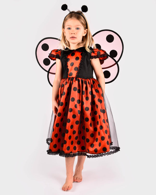 Robe coccinelle avec accessoires pour 2-4 ans (taille 98-104 cm)