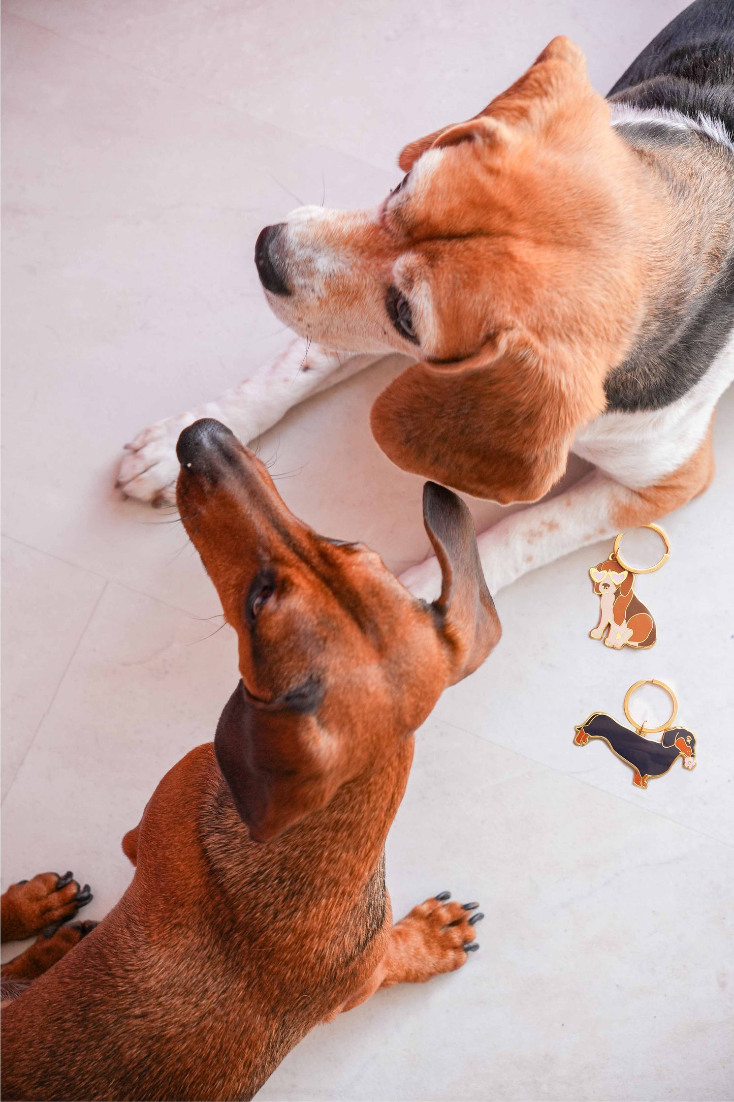 llavero de perro salchicha