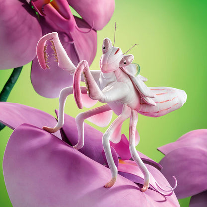 Marionnette à main Mante religieuse / Mante orchidée 3236, marionnette à main Folkmanis Folkmanis réaliste