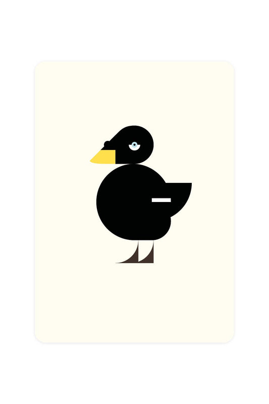 Carte postale avec grand canard de mer
