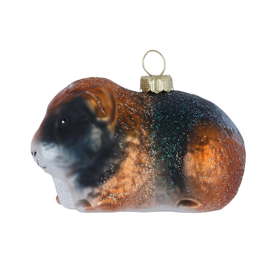 Cavia