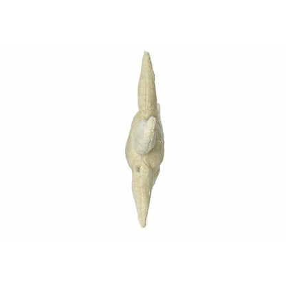 Pequeño juguete de peluche de estrella de mar