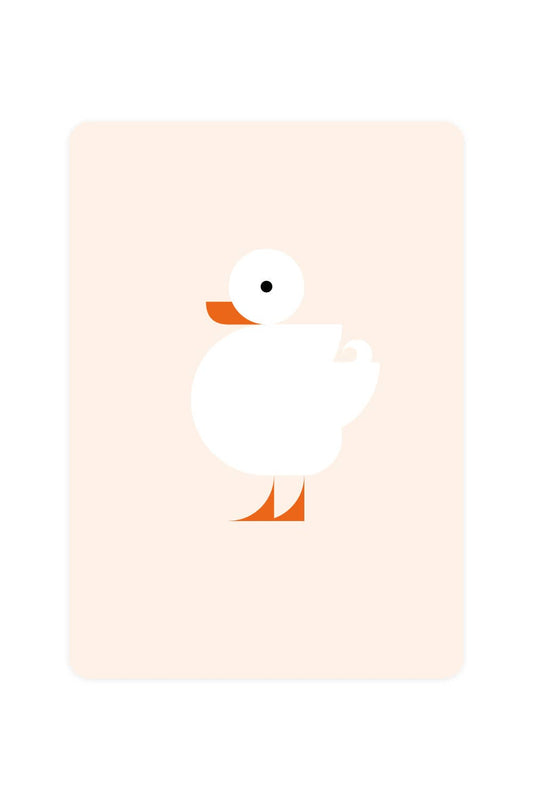 Postal con un pato blanco