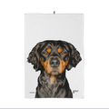 Geschirrtuch Léon – Bretonischer Spaniel