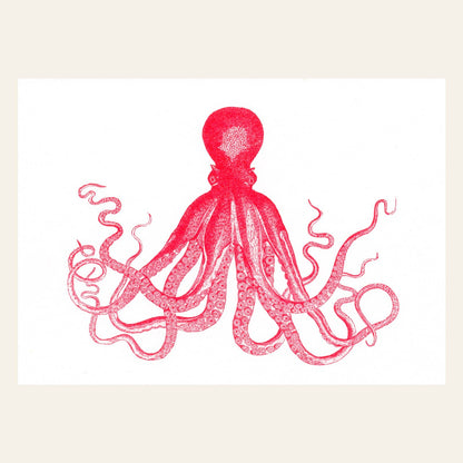 Postal del pulpo rojo