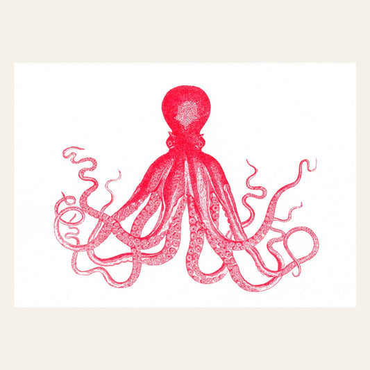 Postal del pulpo rojo