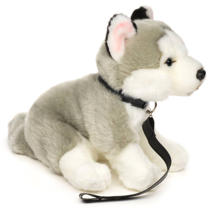 Peluche de husky gris, sentado (con correa)