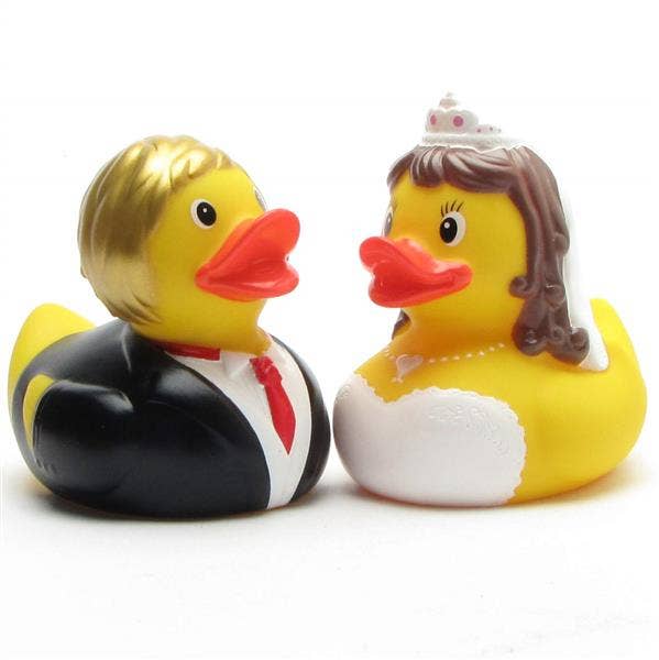 アヒル、夫婦