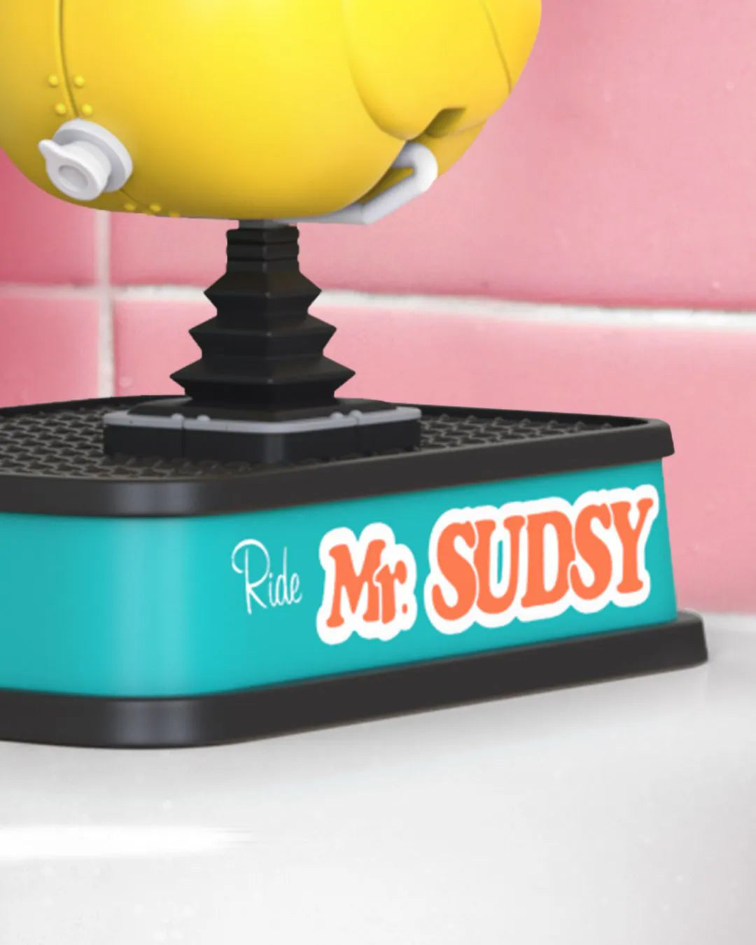 Paseos con animales: Sr. Sudsy