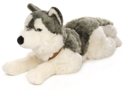 Peluche de husky, acostado (con arnés)