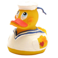 Canard Marin