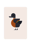 Carte Postale avec Shelduck Australien