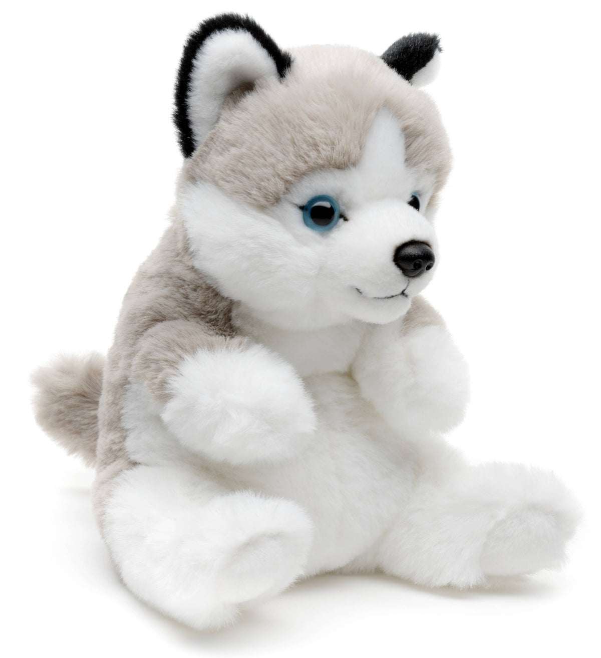Peluche Husky, Assis - Style Kawaii - 17 cm (Hauteur)