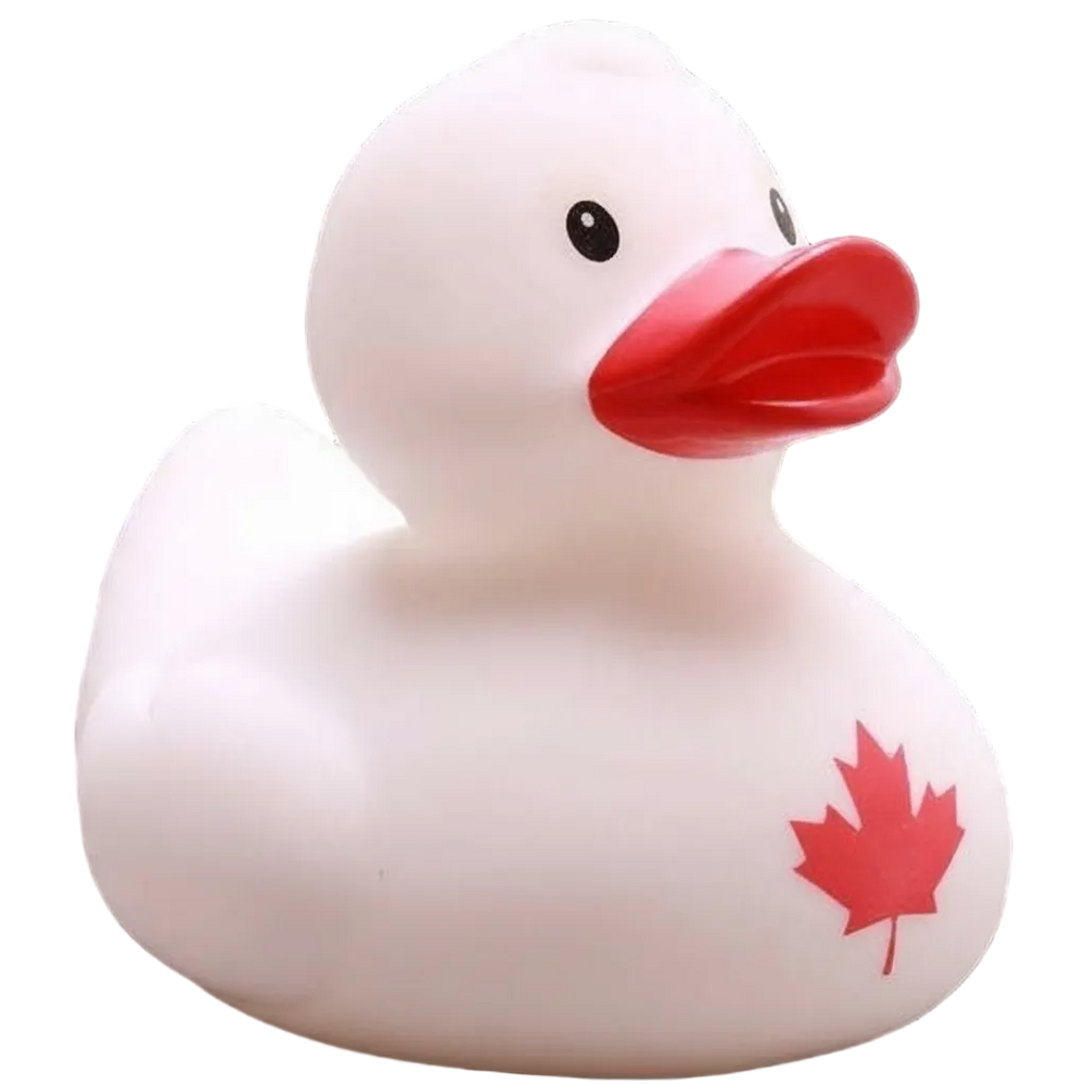 Pato do Canadá