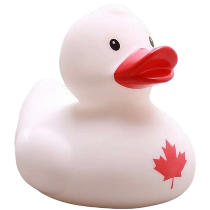 Canadian Duck