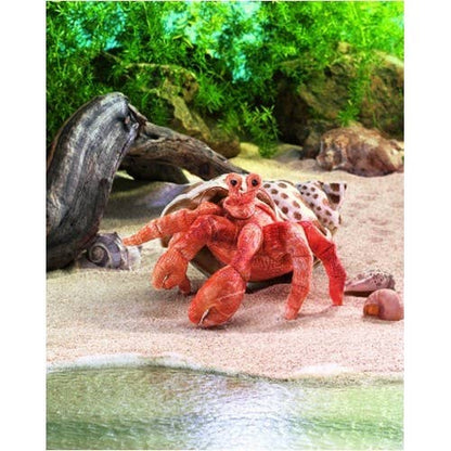 Marionnette à main Crabe-ermite 2867/Crabe ermite Folkmanis réaliste