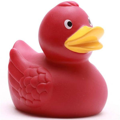 Anatra con ali Bordeaux