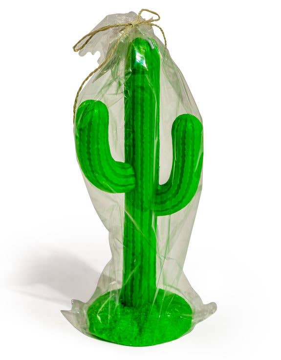 Vela de Cacto Verde