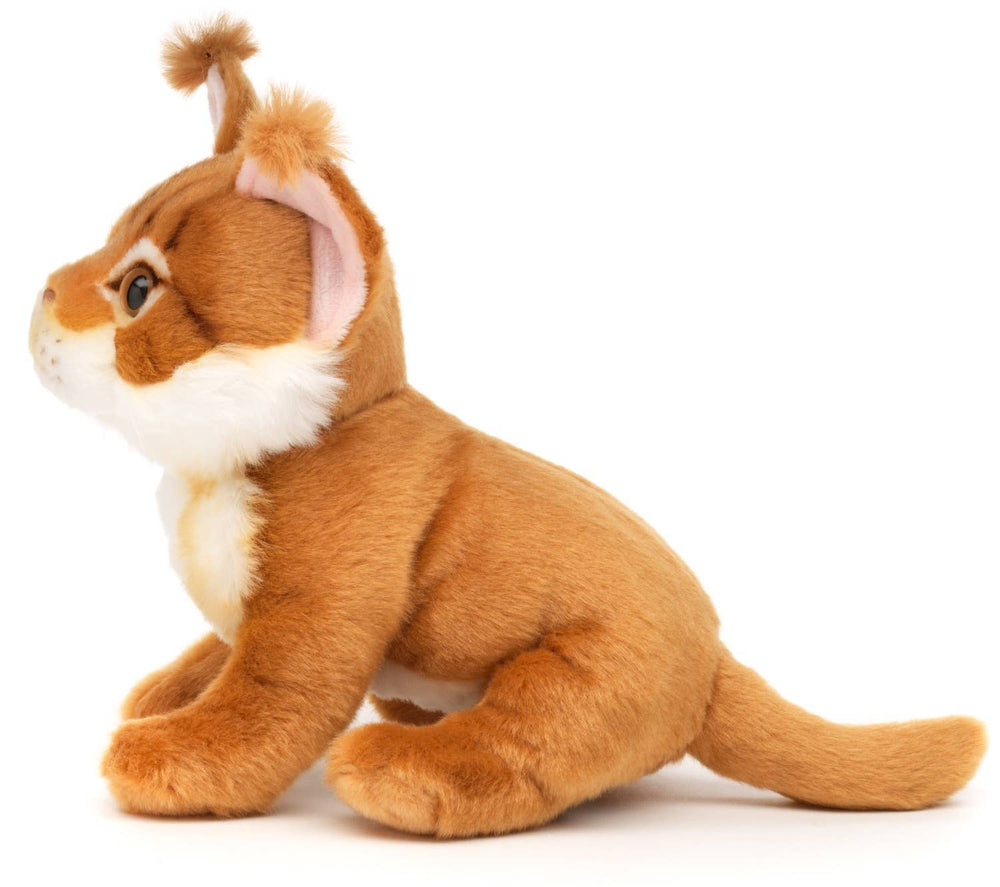 Maine Coon cat plush toy
