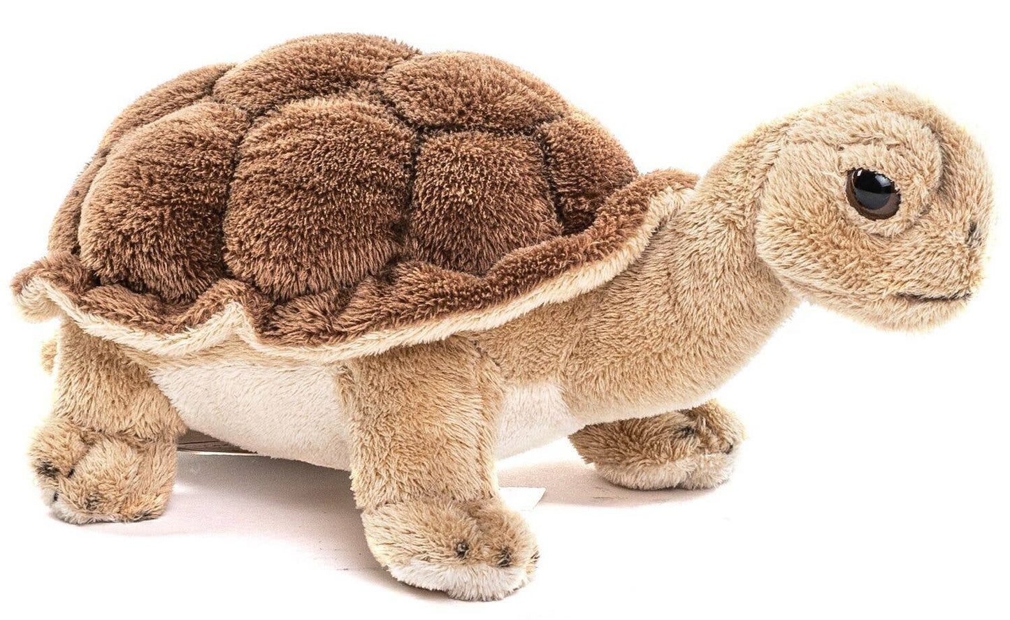 Tortuga - 19 cm (largo) - peluche