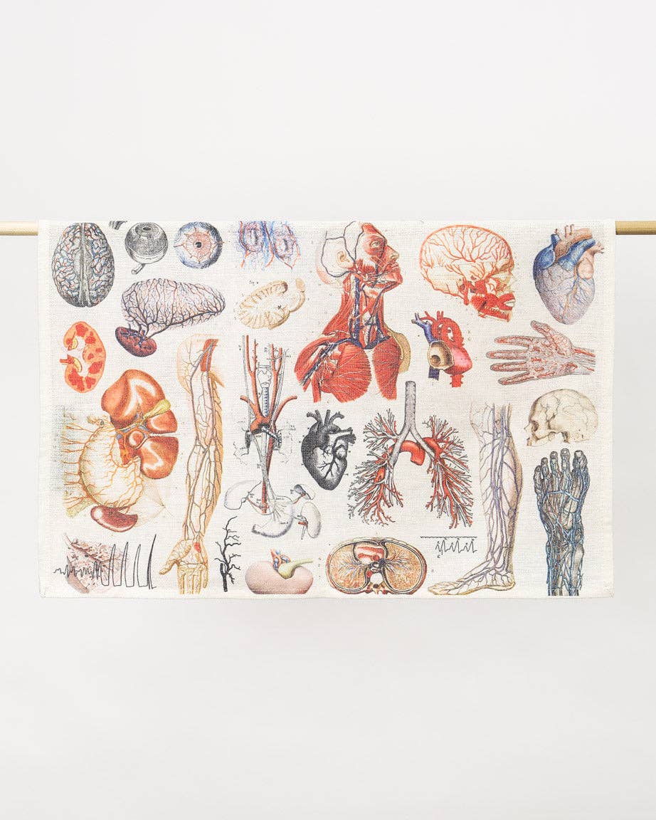 Torchon D'anatomie – produit scientifique Cognitive Surplus EU, vue 3