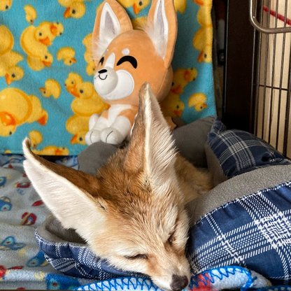 フェネックギツネぬいぐるみ（9インチ）