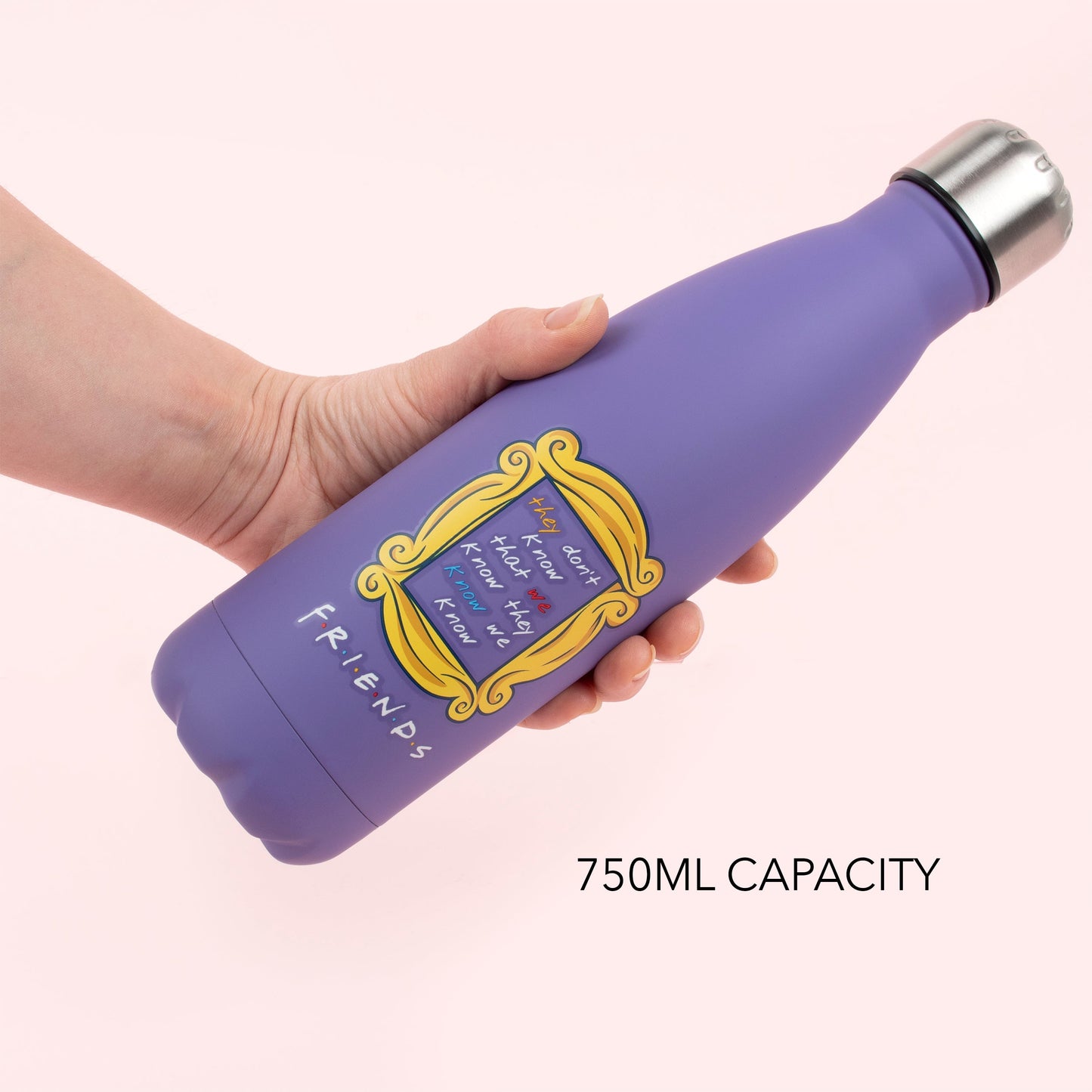Friends acier inoxydable Gourde 750ml – violet