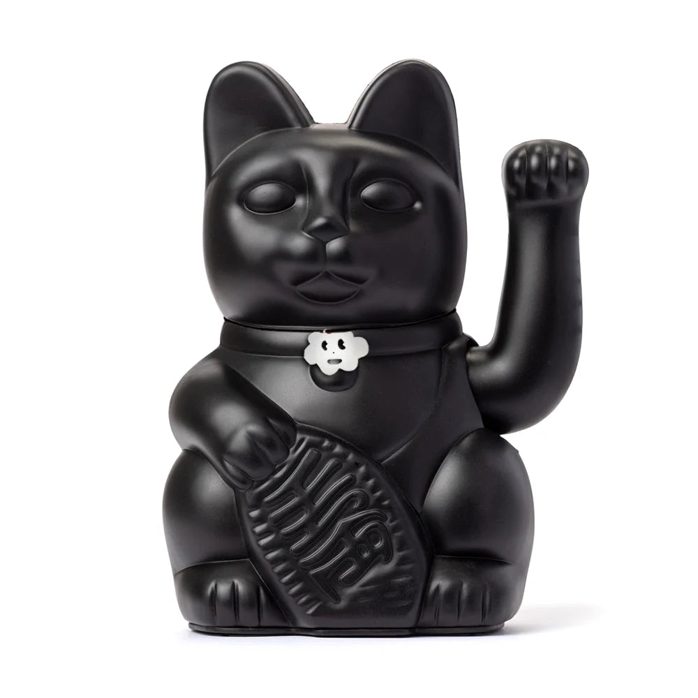 Gatto nero fortunato