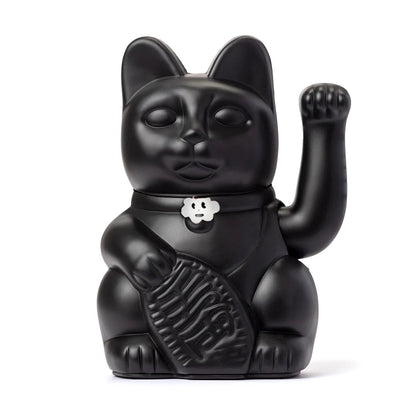 Gatto nero fortunato
