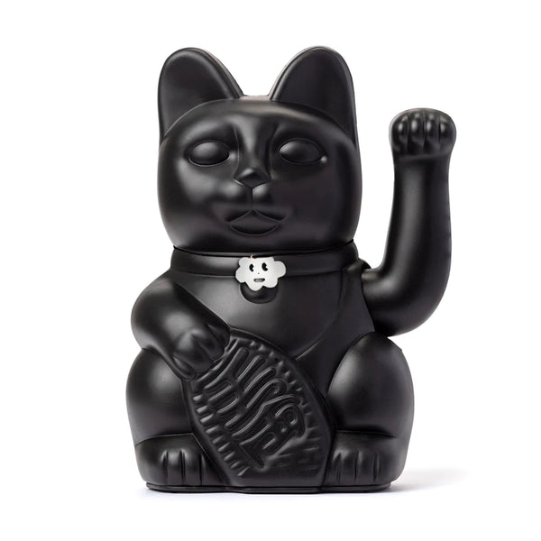Cat negro afortunado