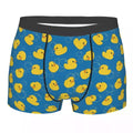 Boxer Canards Bulles