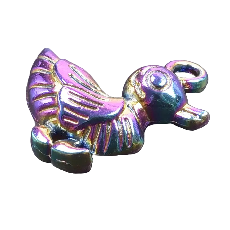 Charme canard arc en ciel