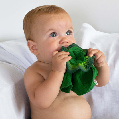 Baby Gift Set - Healthy Start Pack
