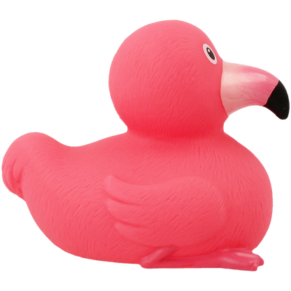 Canard Flamant Rose