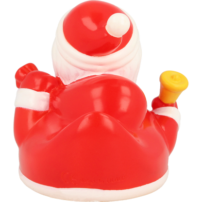 Kerstman Eend