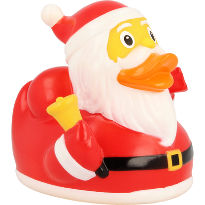 Kerstman Eend