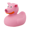 Pato
