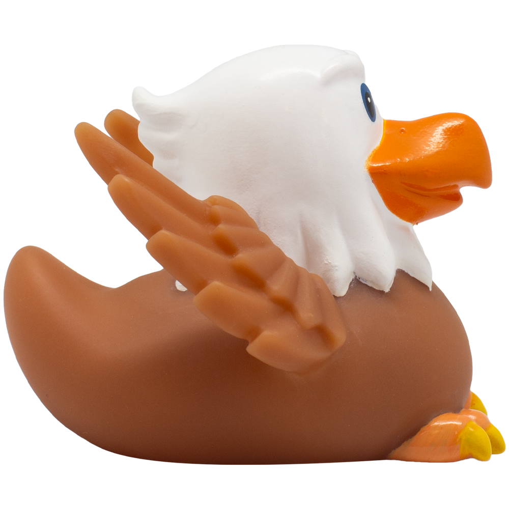 Pato Águia