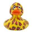 Wild Cat Duck