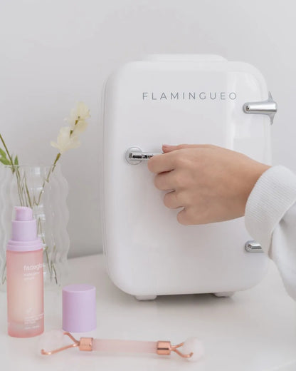Mini Nevera Cosméticos 4L - BRIENNE