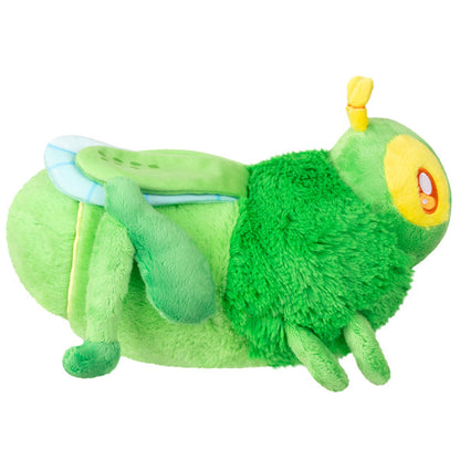 Peluche Mini Squishable – Sauterelle