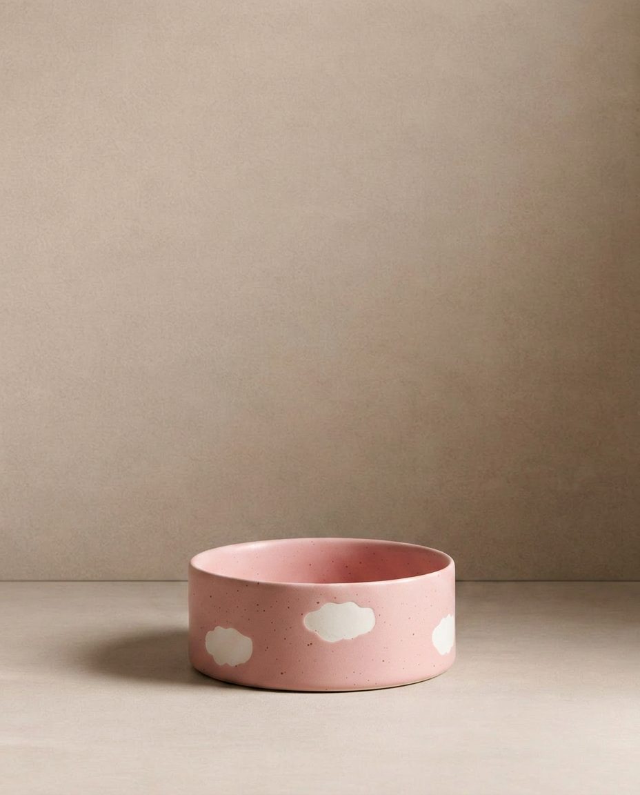Pink Cloud Stoneware Pet Bowl 16.5cm 2-Piece Set