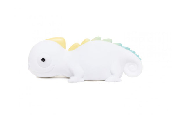 Rechargeable chameleon night light